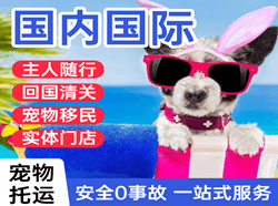 武汉航空物流国际宠物托运 【国